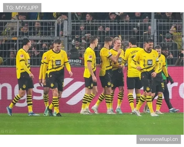 德甲豪门实力分布：拜仁领跑，多特莱比锡紧追