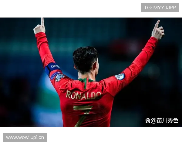 葡萄牙国家队轮换中场：内维斯的国家队角色