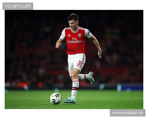 马丁内利：从新星到战术核心的成长路径解析