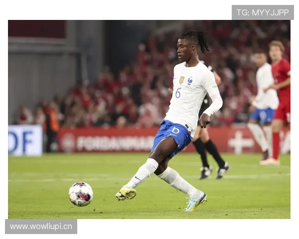 卡马文加:欧冠夺冠开启生涯首个巅峰期 卡马文加:欧冠夺冠开启生涯首个巅峰期