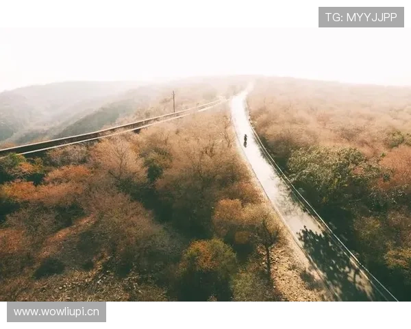 巴尔科拉：高估质疑下，真实比赛影响力与体系适配解析