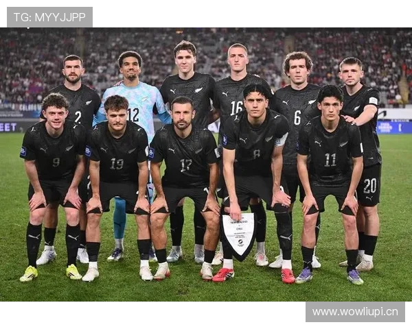 波黑冲击2026世界杯:晋级前景与阵容分析 波黑冲击2026世界杯:晋级前景与阵容分析
